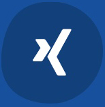 Xing Icon